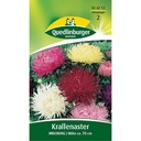 Krallenaster, mieszanka